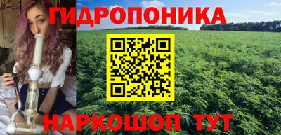 гашик Каменск-Уральский