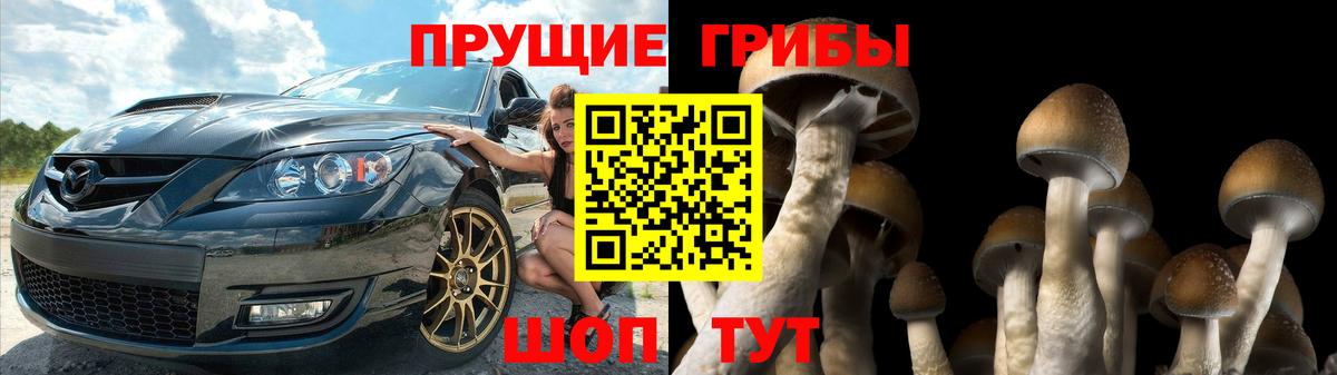 Псилоцибиновые грибы мицелий  Галлюциногенные грибы мицелий  Батайск  Вход с VPN 