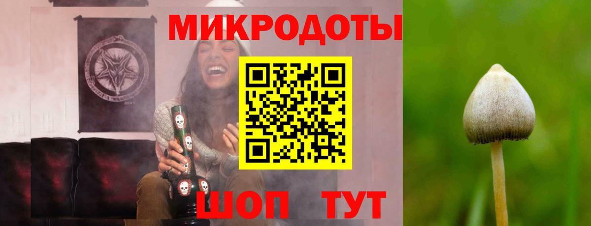 Галлюциногенные грибы Psilocybe Батайск